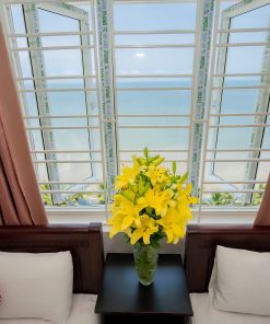 Moonlight gia đình